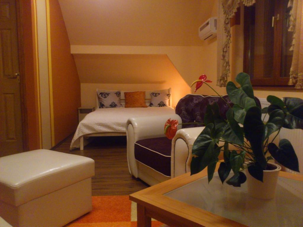 Szilvia Vendeghaz Hotel Korosszakal Cameră foto